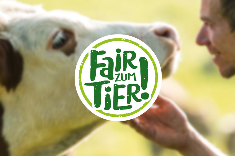 A person interacting closely with a cow in a field, with the words "Fair Zum Tier!" overlaid in green on a white circle in the center.