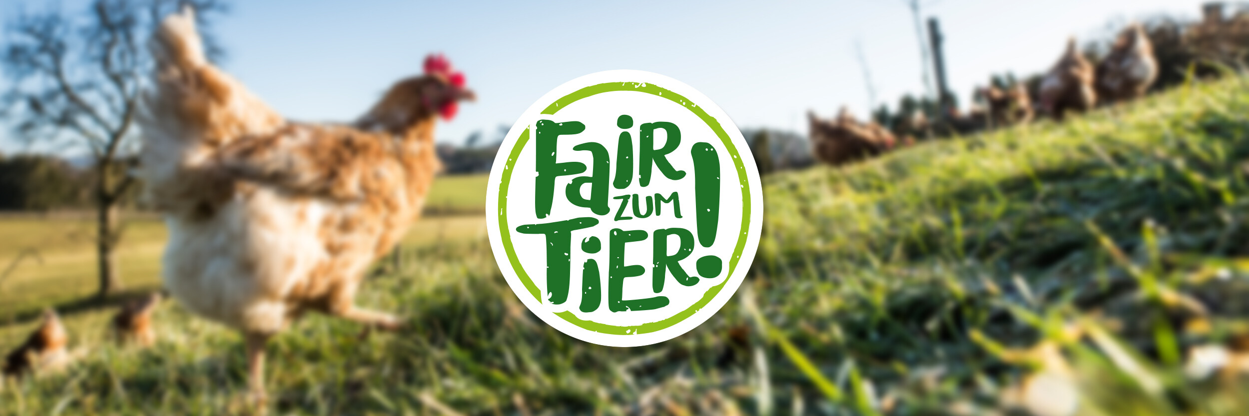 A chicken walking on a grassy field with a group of chickens in the background. The words "Fair zum Tier!" are overlaid in a green circular logo.