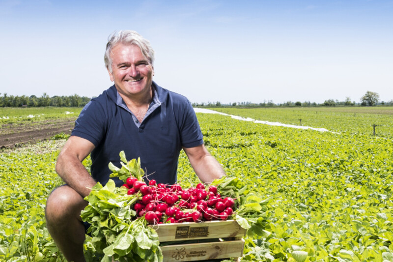 A man smiling and kneeling in a lush green field, holding a wooden crate full of freshly harvested red radishes under a clear blue sky.
